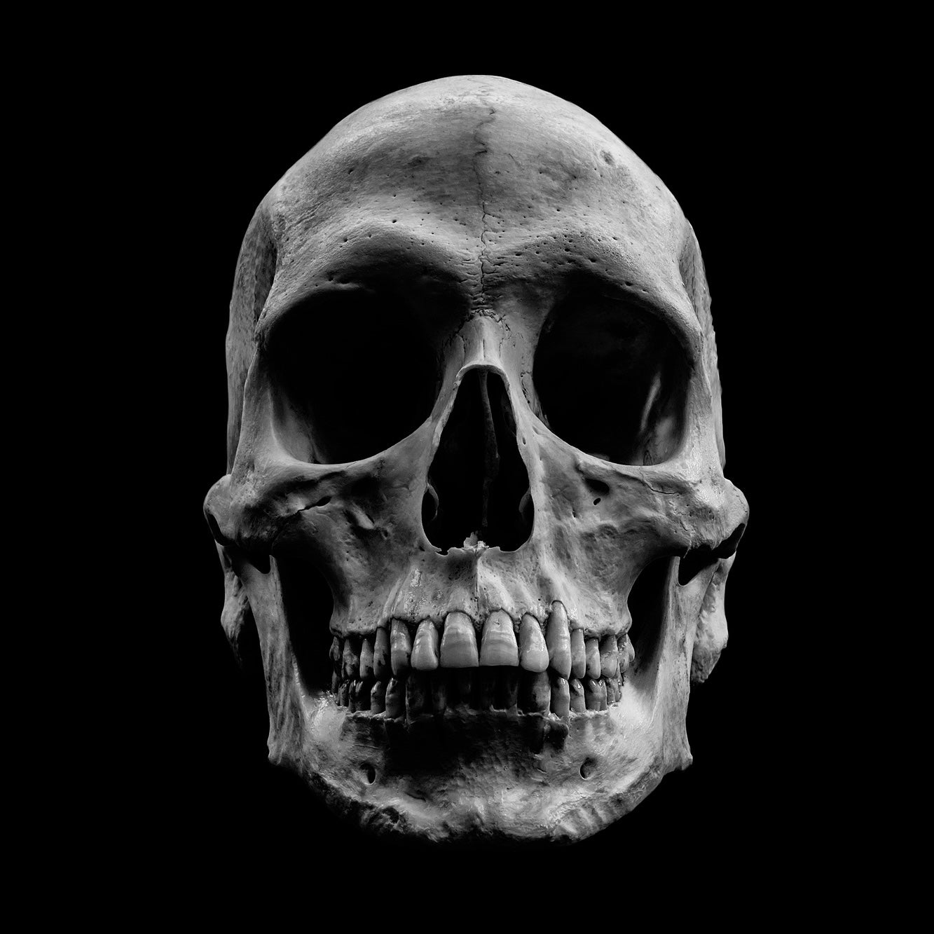 Classic Biker Jacket